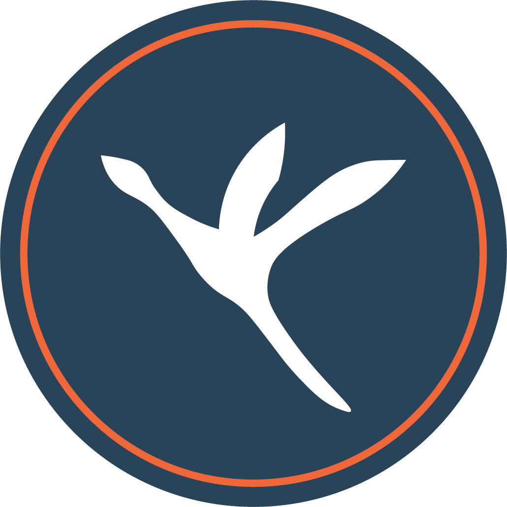 North Wright Air Ltd logo